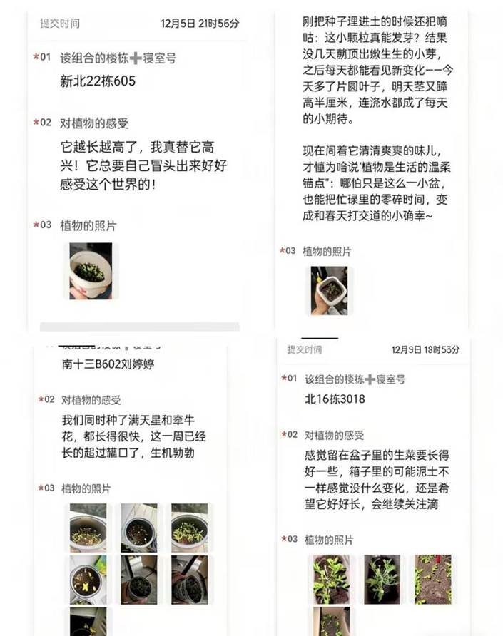 b3e4914155c18199e946696d221b4a91